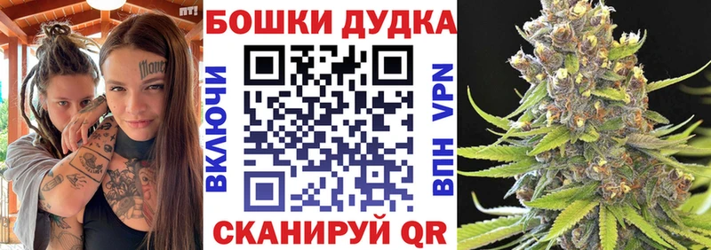 Все наркотики Новоалександровск A PVP мега ССЫЛКА ГАШ Псилоцибиновые грибы Марихуана Мефедрон