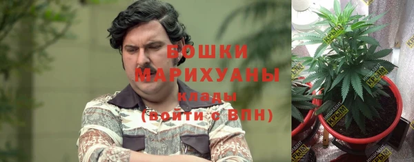 спиды Аркадак