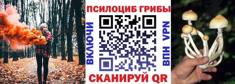 Псилоцибиновые грибы прущие грибы  Новоалександровск 